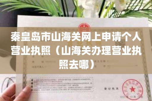 秦皇岛市山海关网上申请个人营业执照（山海关办理营业执照去哪）