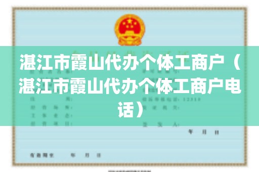 湛江市霞山代办个体工商户（湛江市霞山代办个体工商户电话）