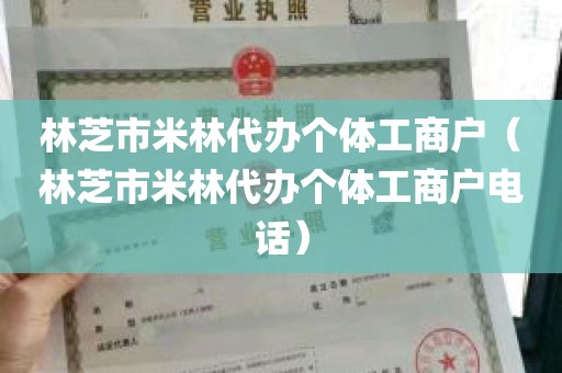 林芝市米林代办个体工商户（林芝市米林代办个体工商户电话）