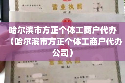 哈尔滨市方正个体工商户代办（哈尔滨市方正个体工商户代办公司）