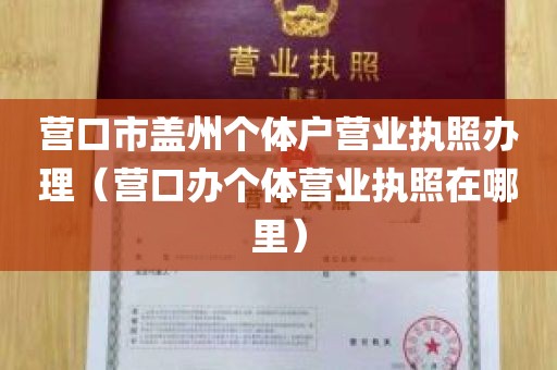 营口市盖州个体户营业执照办理（营口办个体营业执照在哪里）