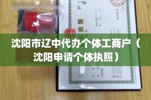沈阳市辽中代办个体工商户（沈阳申请个体执照）