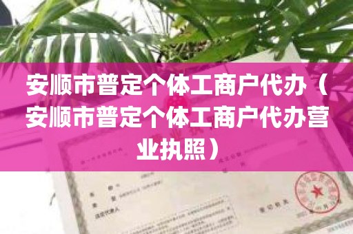 安顺市普定个体工商户代办（安顺市普定个体工商户代办营业执照）