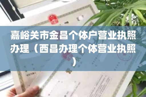 嘉峪关市金昌个体户营业执照办理（西昌办理个体营业执照）