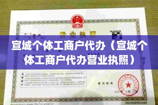 宣城个体工商户代办（宣城个体工商户代办营业执照）