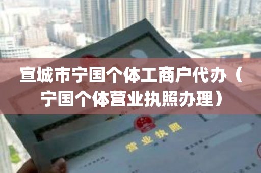 宣城市宁国个体工商户代办（宁国个体营业执照办理）