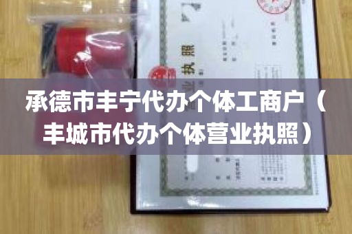 承德市丰宁代办个体工商户（丰城市代办个体营业执照）