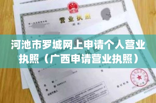 河池市罗城网上申请个人营业执照（广西申请营业执照）