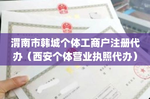 渭南市韩城个体工商户注册代办（西安个体营业执照代办）