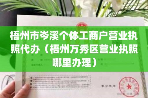 梧州市岑溪个体工商户营业执照代办（梧州万秀区营业执照哪里办理）