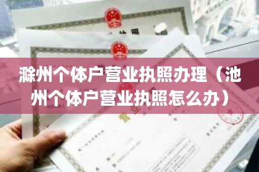 滁州个体户营业执照办理（池州个体户营业执照怎么办）
