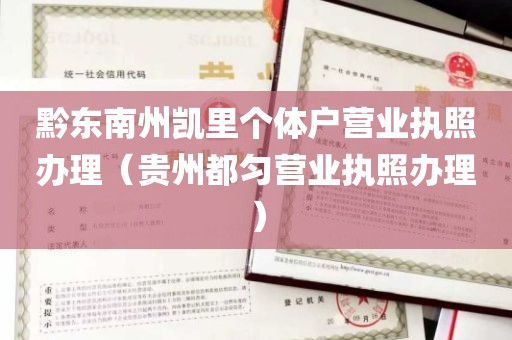 黔东南州凯里个体户营业执照办理（贵州都匀营业执照办理）