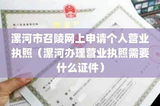 漯河市召陵网上申请个人营业执照（漯河办理营业执照需要什么证件）
