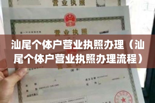 汕尾个体户营业执照办理（汕尾个体户营业执照办理流程）