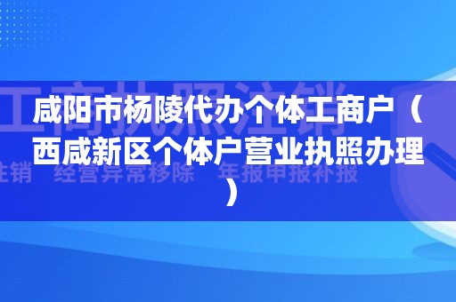 咸阳市杨陵代办个体工商户（西咸新区个体户营业执照办理）