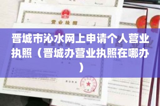 晋城市沁水网上申请个人营业执照（晋城办营业执照在哪办）