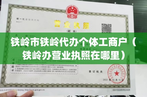 铁岭市铁岭代办个体工商户（铁岭办营业执照在哪里）