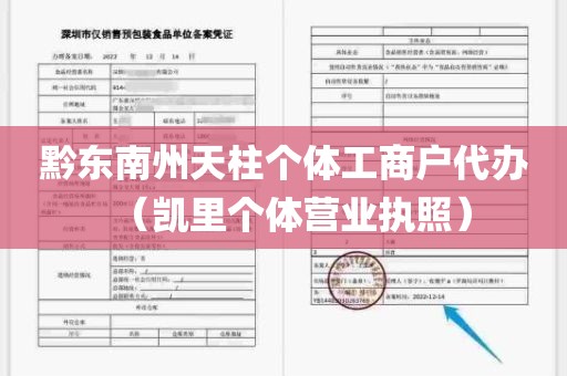 黔东南州天柱个体工商户代办（凯里个体营业执照）