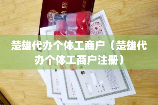 楚雄代办个体工商户（楚雄代办个体工商户注册）