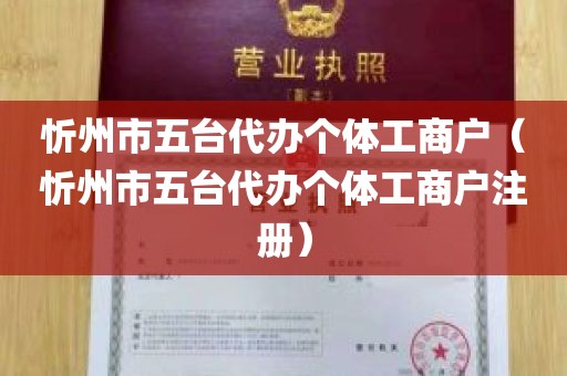 忻州市五台代办个体工商户（忻州市五台代办个体工商户注册）