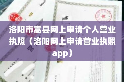 洛阳市嵩县网上申请个人营业执照（洛阳网上申请营业执照app）