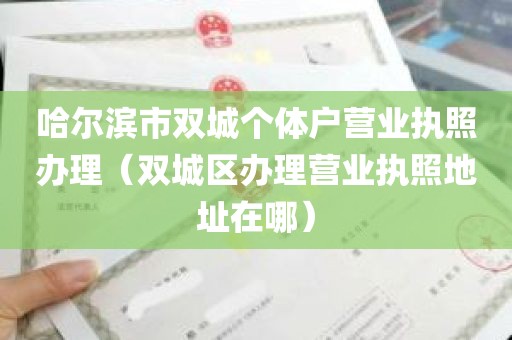哈尔滨市双城个体户营业执照办理（双城区办理营业执照地址在哪）