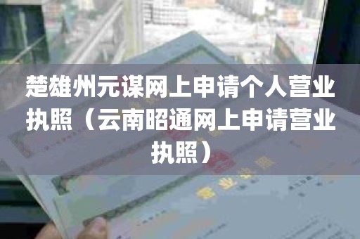 楚雄州元谋网上申请个人营业执照（云南昭通网上申请营业执照）
