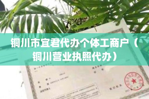 铜川市宜君代办个体工商户（铜川营业执照代办）