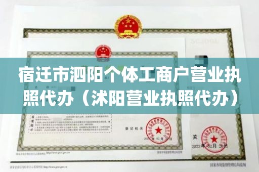 宿迁市泗阳个体工商户营业执照代办（沭阳营业执照代办）