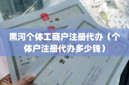 黑河个体工商户注册代办（个体户注册代办多少钱）