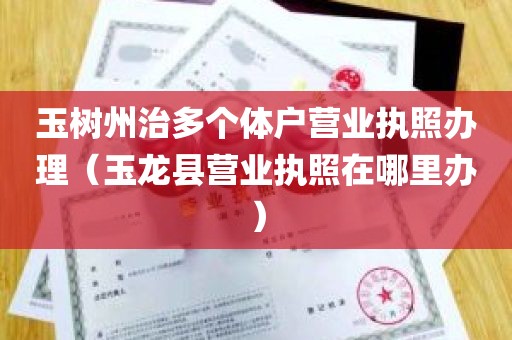 玉树州治多个体户营业执照办理（玉龙县营业执照在哪里办）