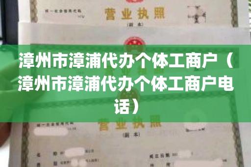 漳州市漳浦代办个体工商户（漳州市漳浦代办个体工商户电话）