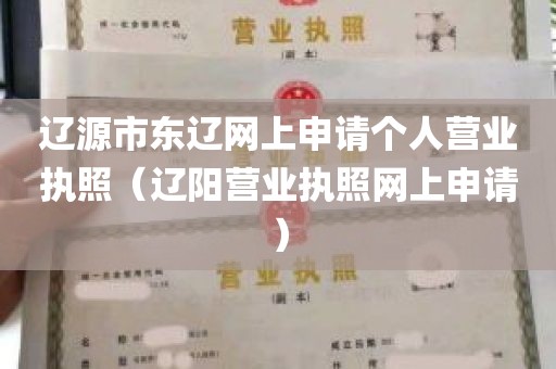 辽源市东辽网上申请个人营业执照（辽阳营业执照网上申请）