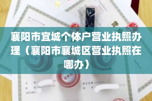 襄阳市宜城个体户营业执照办理（襄阳市襄城区营业执照在哪办）