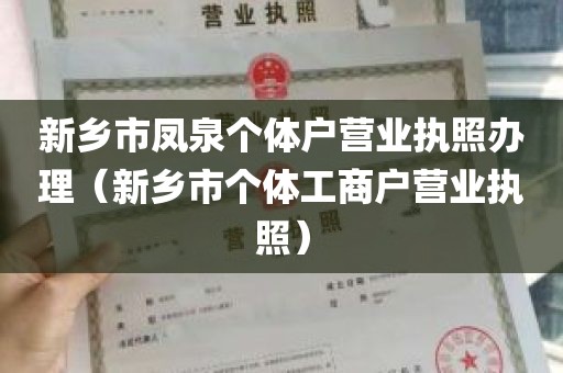 新乡市凤泉个体户营业执照办理（新乡市个体工商户营业执照）