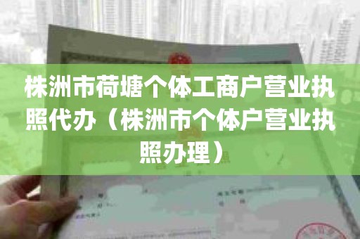 株洲市荷塘个体工商户营业执照代办（株洲市个体户营业执照办理）
