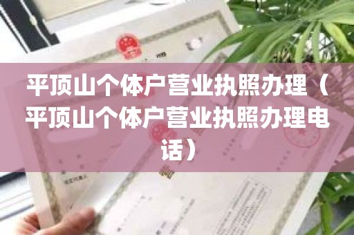 平顶山个体户营业执照办理（平顶山个体户营业执照办理电话）