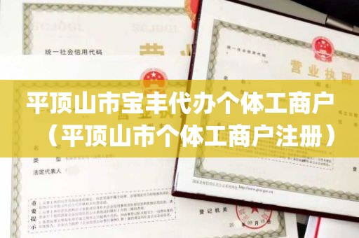 平顶山市宝丰代办个体工商户（平顶山市个体工商户注册）