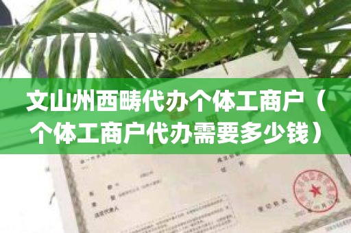 文山州西畴代办个体工商户（个体工商户代办需要多少钱）