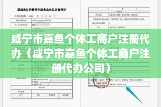 咸宁市嘉鱼个体工商户注册代办（咸宁市嘉鱼个体工商户注册代办公司）