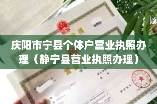 庆阳市宁县个体户营业执照办理（静宁县营业执照办理）