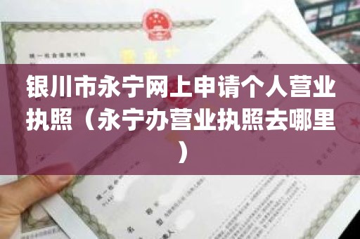 银川市永宁网上申请个人营业执照（永宁办营业执照去哪里）