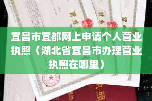 宜昌市宜都网上申请个人营业执照（湖北省宜昌市办理营业执照在哪里）