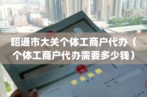 昭通市大关个体工商户代办（个体工商户代办需要多少钱）