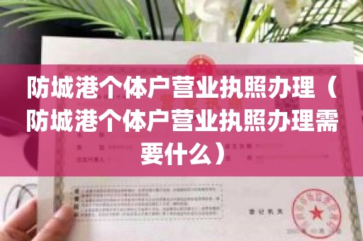 防城港个体户营业执照办理（防城港个体户营业执照办理需要什么）