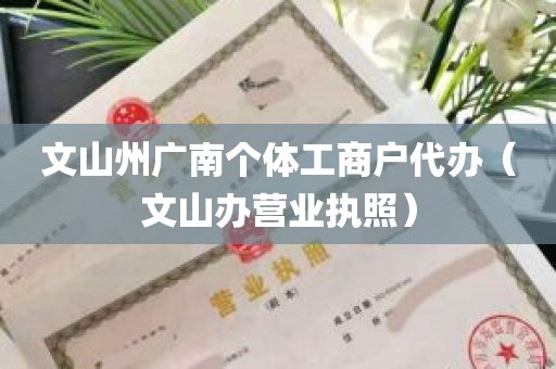 文山州广南个体工商户代办（文山办营业执照）