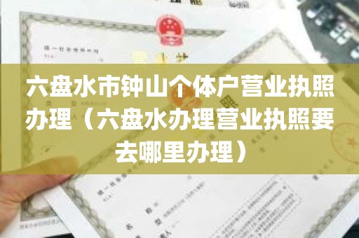 六盘水市钟山个体户营业执照办理（六盘水办理营业执照要去哪里办理）