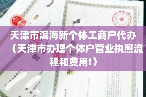天津市滨海新个体工商户代办（天津市办理个体户营业执照流程和费用!）