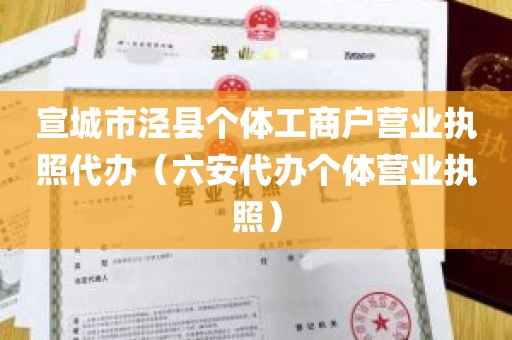 宣城市泾县个体工商户营业执照代办（六安代办个体营业执照）