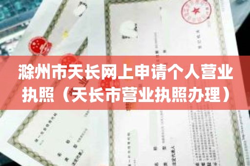 滁州市天长网上申请个人营业执照（天长市营业执照办理）